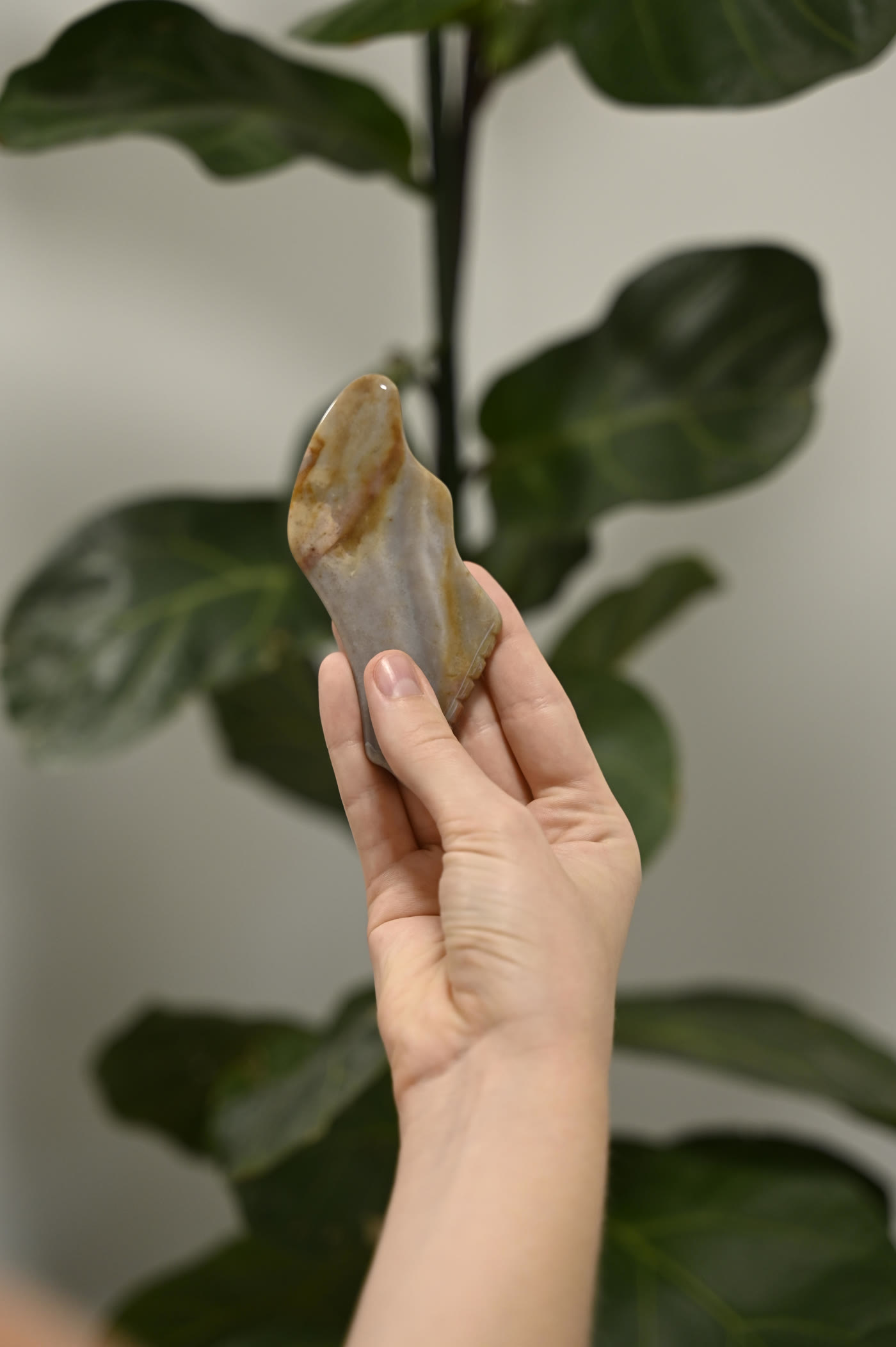 Gua Sha kamen